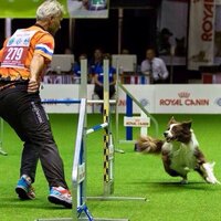 No training without tugtoy No training without tugtoy